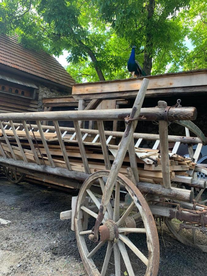 Chalupa Gretl Pohorsko ภายนอก รูปภาพ